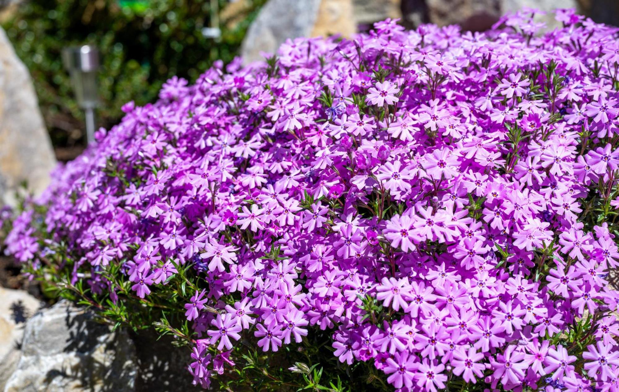 Chata Vanda Štrba 외부 사진